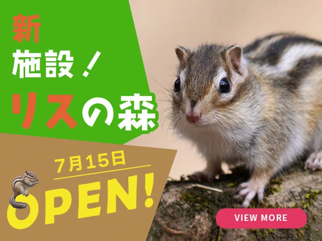 。リス 富士サファリパーク公式 on X: 