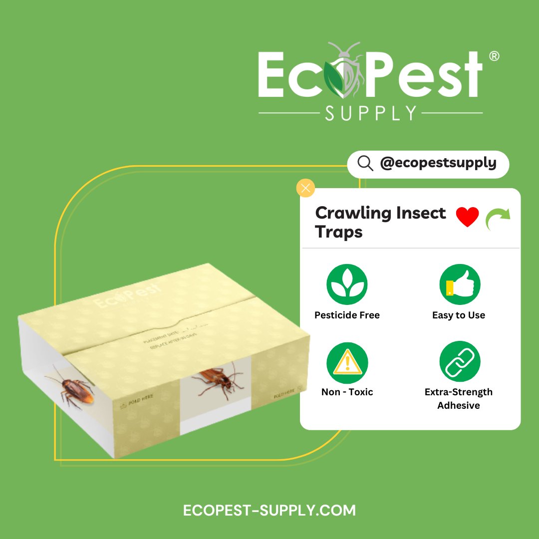 EcoPestSupply's tweet photo. 🐜🕷️Tired of creepy crawlies invading your space? Fear not! We bring you super crawling insect traps, designed to catch variety of pesky insects, from ants to spiders &amp; more. Simply place them in problem areas &amp; reclaim a pest-free environment. #PestControl #PestControlSolution https://t.co/0J2UO39ZcE