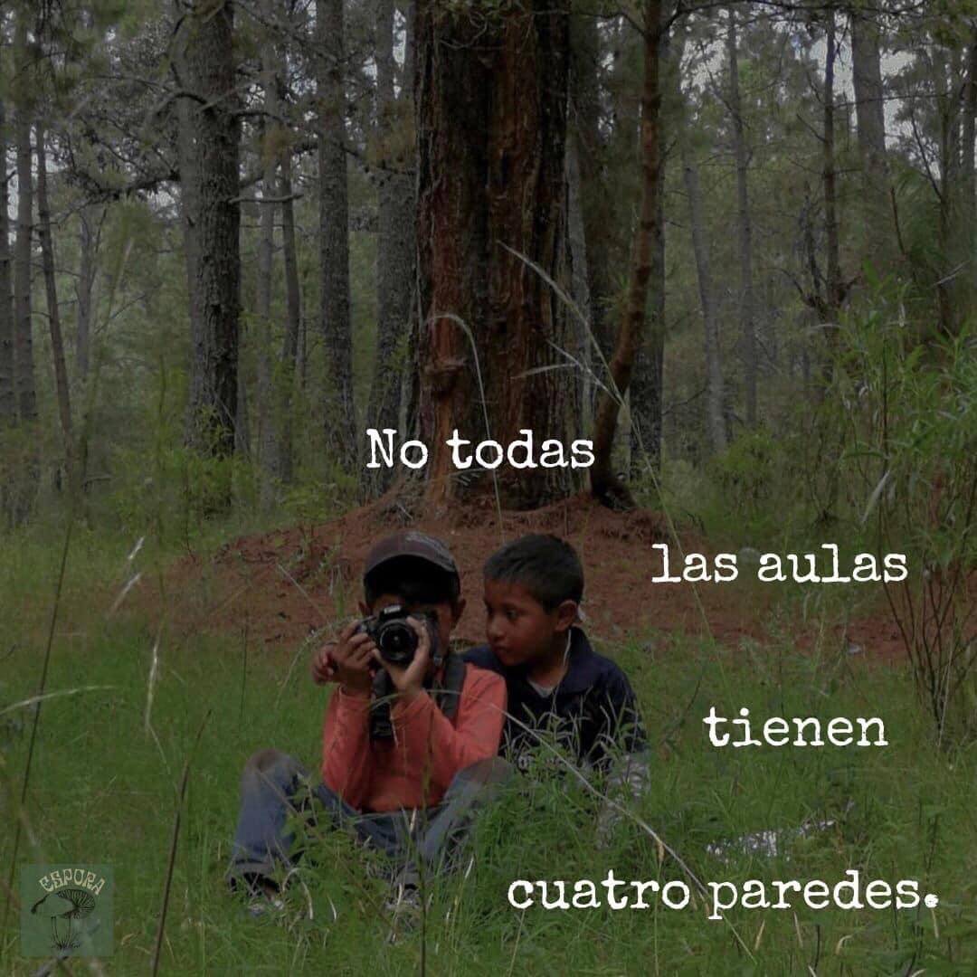 Y en todas se aprende.