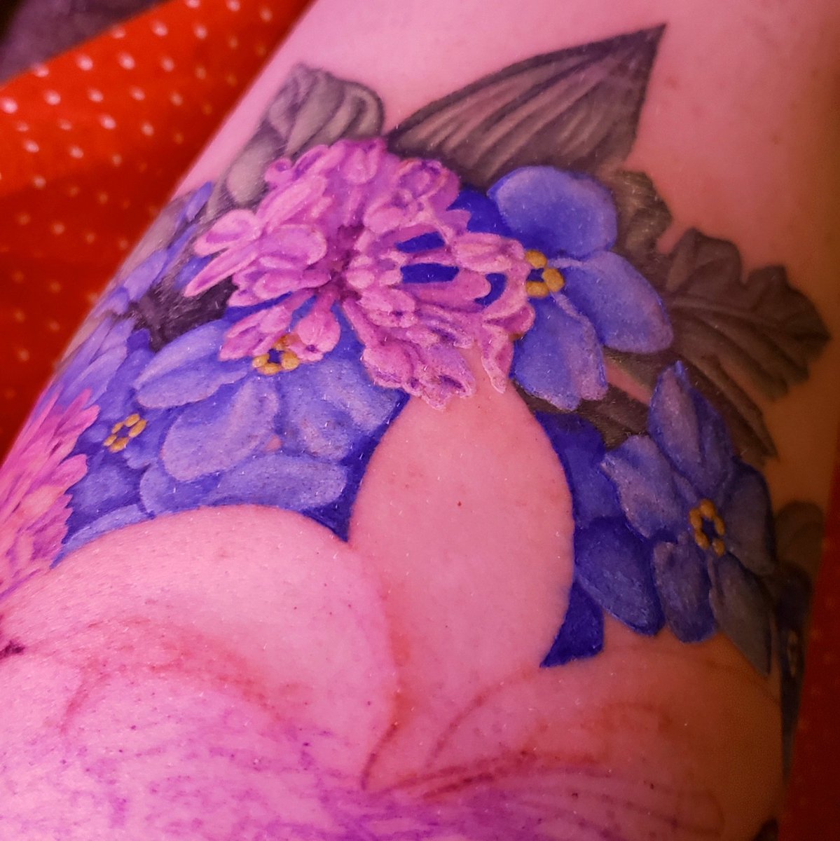 Blood_Comet's tweet photo. Just gazing and gazing 😍😍😍

#623Tattoo https://t.co/4wMBKw5UsY