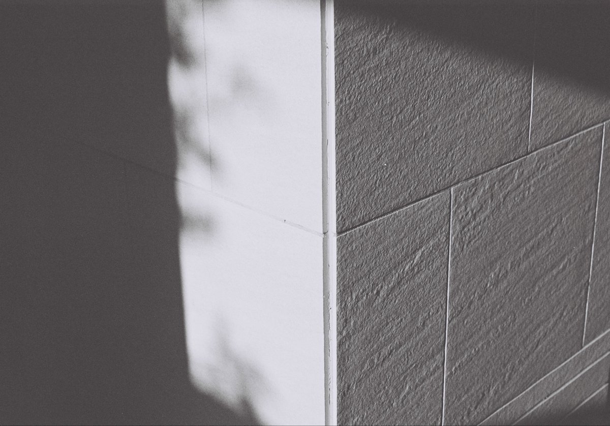 DEAD_END_PEACE7's tweet photo. フィルム撮影30年ぶり?
#CanonAE1PROGRAM 購入して
#FD50F14ssc も購入しちゃいました
フィルムは #IlfordXP2super モノクロで
やってみた
#アルファーホビー部 https://t.co/cOs8rS1GCG