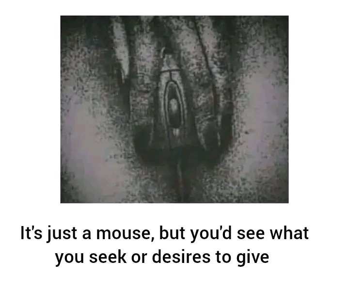 What did you see? Tell the truth?