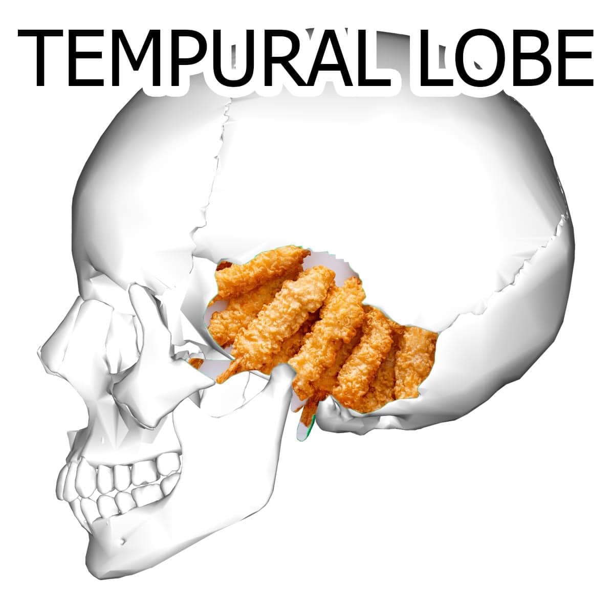 WholesomeMemes (@wholesomememe) on Twitter photo 