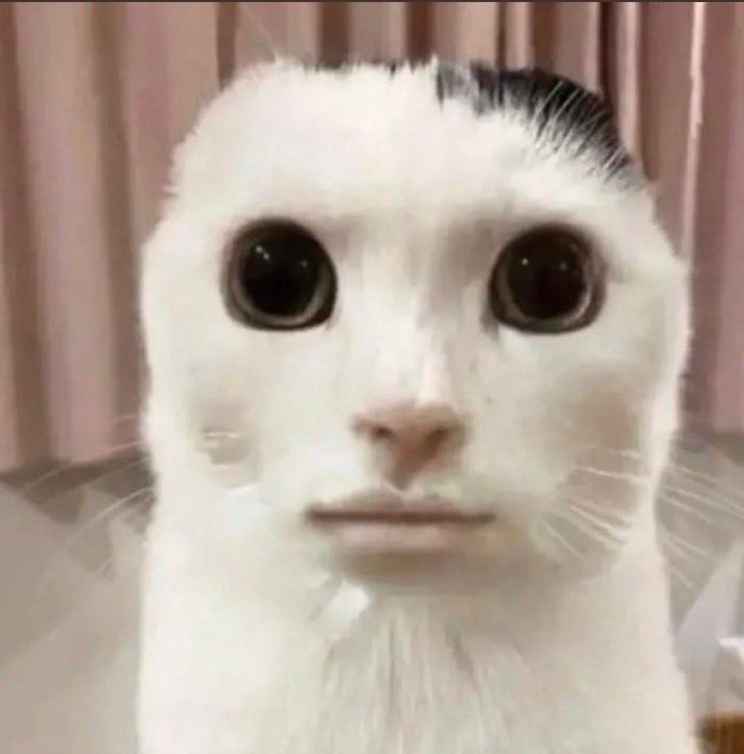 Sijahat132's tweet photo. @djamtjoek Bang udah bg nanti diserang cat lovers https://t.co/JA7dPweb44