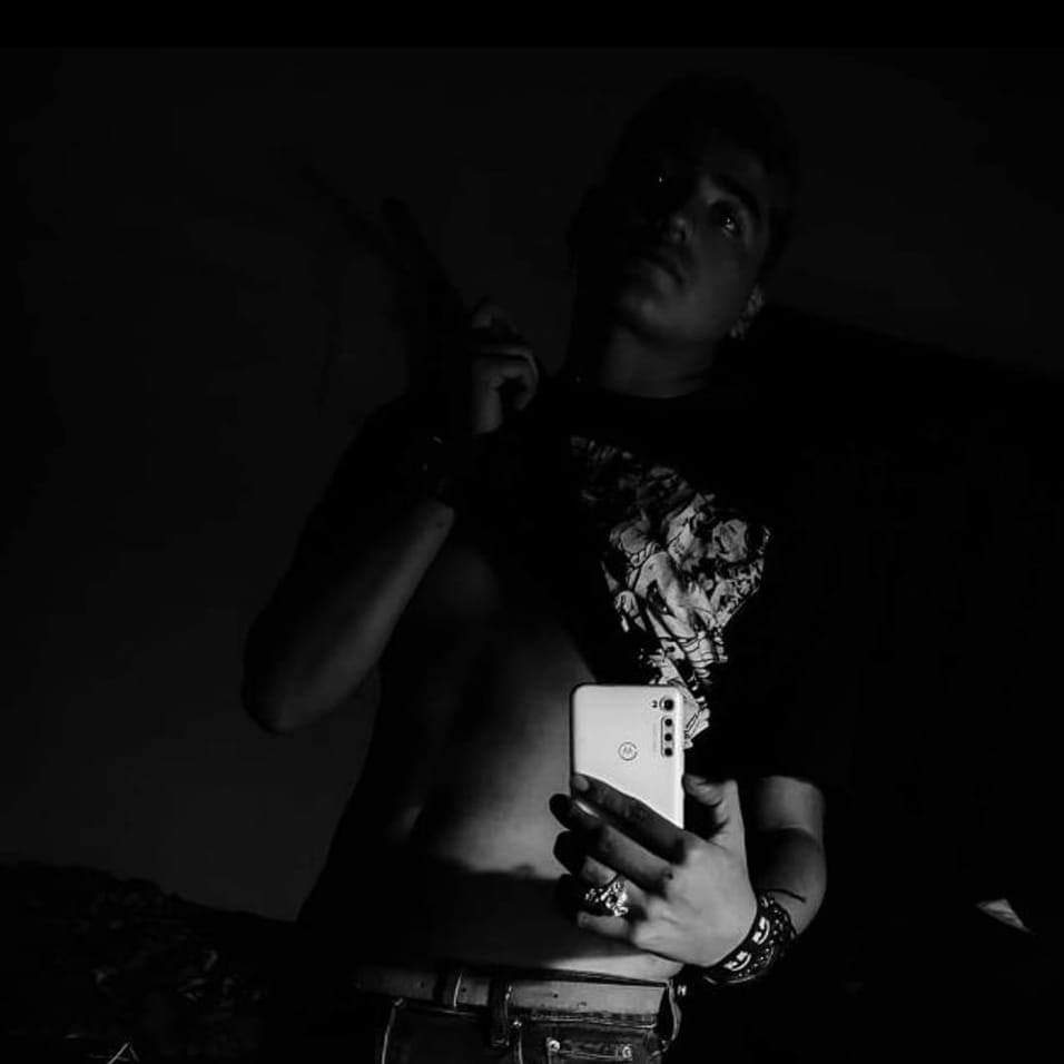 mapache_errante's tweet image. #NuevaFotoDePerfil