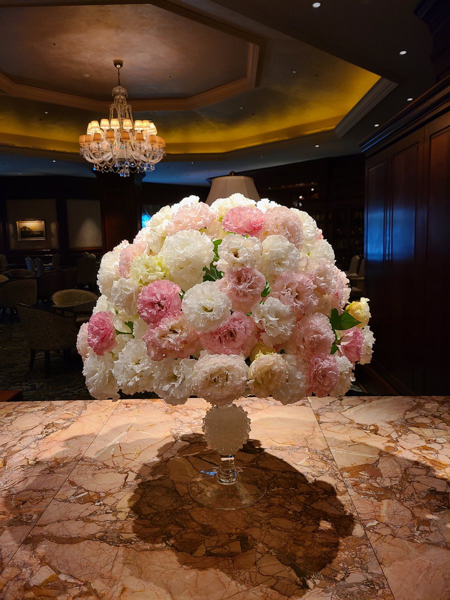 Mina Squirrel (@Y2iHQL7lcDhyTjr) / Posts and Replies / X