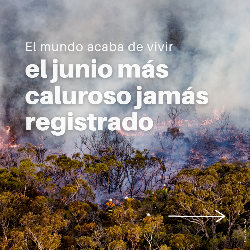 unep_espanol's tweet photo. Olas de calor sin precedentes. ⤵️
Incendios forestales devastadores. ⤵️
Deshielo marino sin precedentes.⤵️

Junio de 2023 acaba de ser declarado el mes más caluroso de la historia conocida, un duro recordatorio del recrudecimiento del impacto del #CambioClimático y de El Niño.