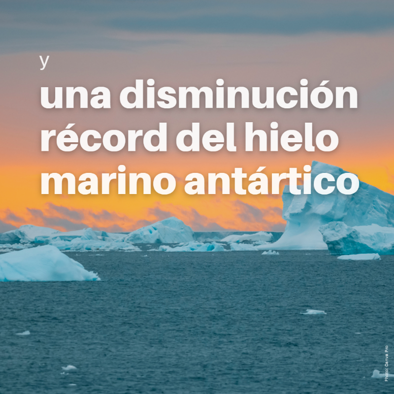 unep_espanol's tweet photo. Olas de calor sin precedentes. ⤵️
Incendios forestales devastadores. ⤵️
Deshielo marino sin precedentes.⤵️

Junio de 2023 acaba de ser declarado el mes más caluroso de la historia conocida, un duro recordatorio del recrudecimiento del impacto del #CambioClimático y de El Niño.