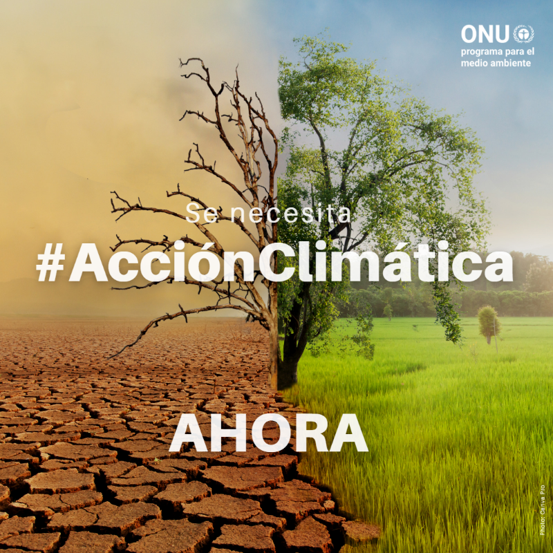 unep_espanol's tweet photo. Olas de calor sin precedentes. ⤵️
Incendios forestales devastadores. ⤵️
Deshielo marino sin precedentes.⤵️

Junio de 2023 acaba de ser declarado el mes más caluroso de la historia conocida, un duro recordatorio del recrudecimiento del impacto del #CambioClimático y de El Niño.