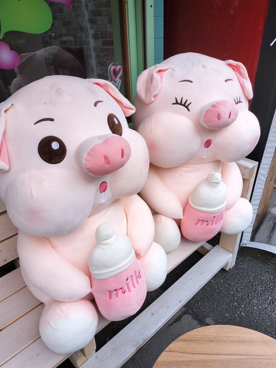 cafe369enjoy's tweet photo. むしむしと暑い日々が続いていますね…

ぜひ当店で涼んでいってください！ https://t.co/VGhR70NGIC