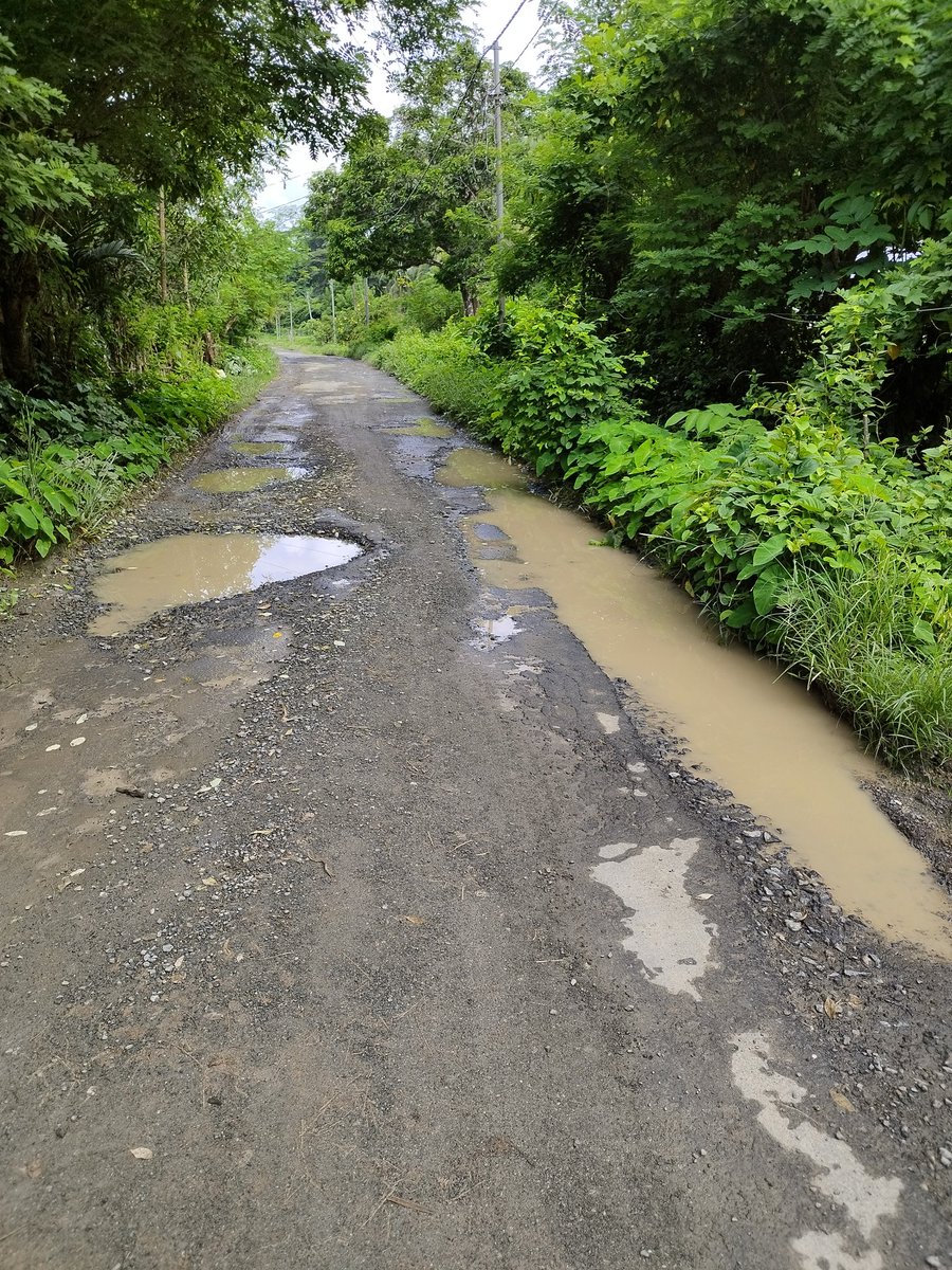 er_mitun's tweet photo. #UnitedVillagersOfRamnagar
#Thankful2 #ShriVishalJollyJi @VishalJolly11 for  #HelpingHand towards the temporary repair of #PMGSY2 roads for the resumption of #STS bus service at #GPRamnagarDiglpur @BJP4India @narendramodi
@AmitShah
@satyakumar_y @blsanthosh @BJP4AnN @DDas_Gupta https://t.co/LC8xBI7gzH