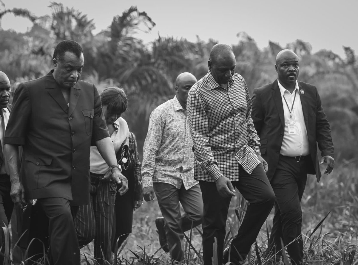 WilliamsRuto's tweet photo. Value addition and access to the latest farming trends and technologies will increase yields, expand farmer incomes, and move us closer to food security. https://t.co/Ux2zIFdlv6