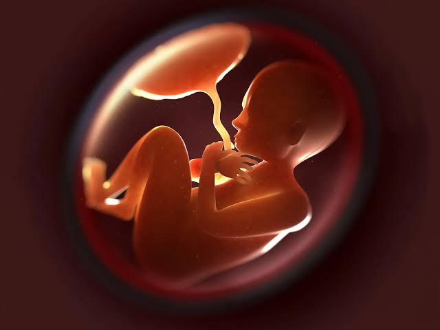 AN UNBORN BABY CAN TASTE WHAT THEIR MOTHER IS EATING AND CAN DEVELOP A PREFERENCE FOR THE FOODS THAT SHE EATS.

#unbornbaby #fetus #mother #womb