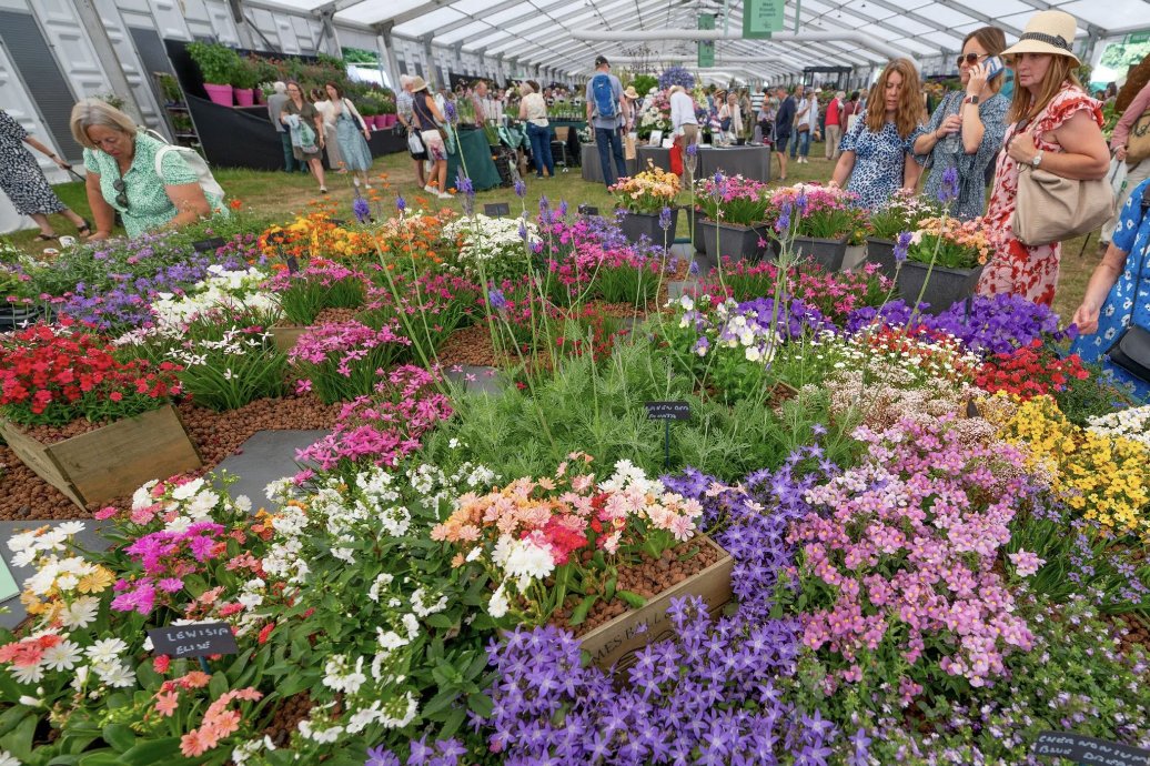 BuskInLondon's tweet image. Enjoy wonderful performances from Busk In London artists at the #RHSHamptonCourt Palace Garden Festival today! 🎶❤️

Stunning gardens and glorious flowers! 💐 @The_RHS

Bandstand line-up!
Sunday 9th July

1100 - 1130
@KittyMontague

1310 - 1340
@ModupeOfficial