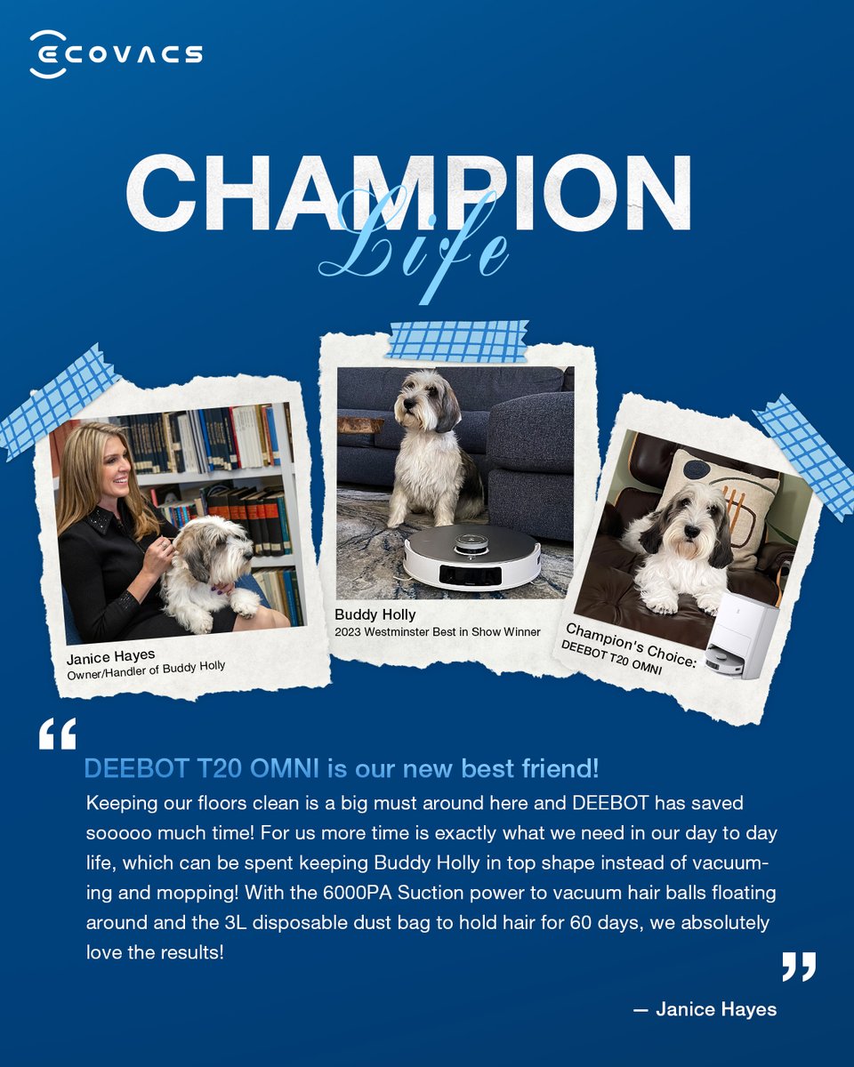 🤖Hear it from Janice Hayes, Buddy Holly’s owner. She's thrilled with DEEBOT's professional ability to tackle pet hair troubles and clean up stains.🐾✨🏠
#PawsomeDEEBOT #DEEBOTsChampionBuddy #DEEBOTxBuddyHolly #WestminsterDogShow #ECOVACS #DEEBOT #ChampionDEEBOT