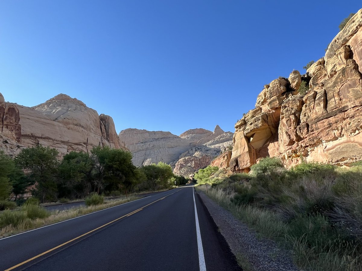 #shecando2021 tweet media