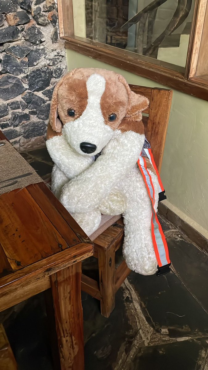 Kusudi_la's tweet photo. One climber is always first for breakfast!
Our adventure begins today: Day 0 minus One (Day 0 = start of the climb)
#PurposefulAdventure #animalwelfare #fundraising #kusudila #kilimanjaro https://t.co/B0bNNXgpEG