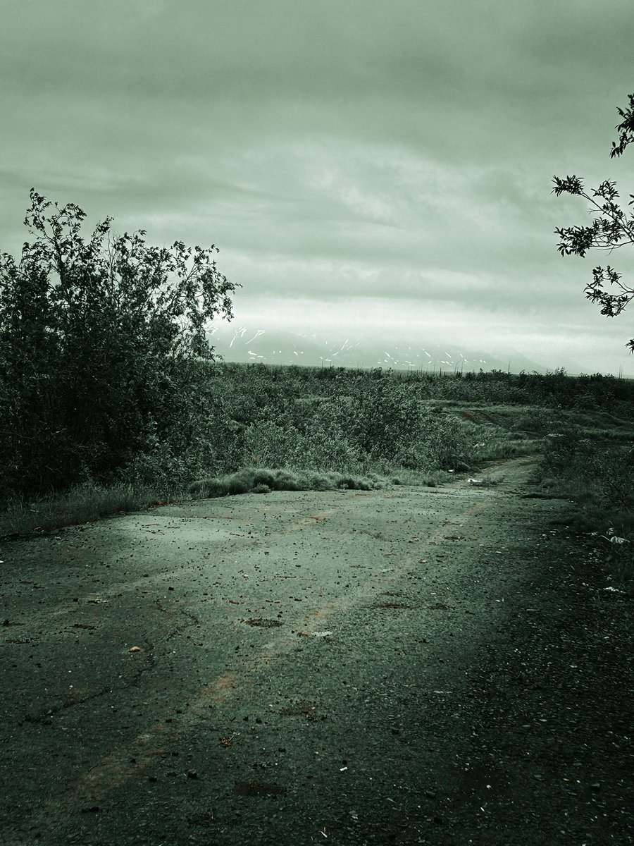 Просто взгляните я тут Топи наснимала