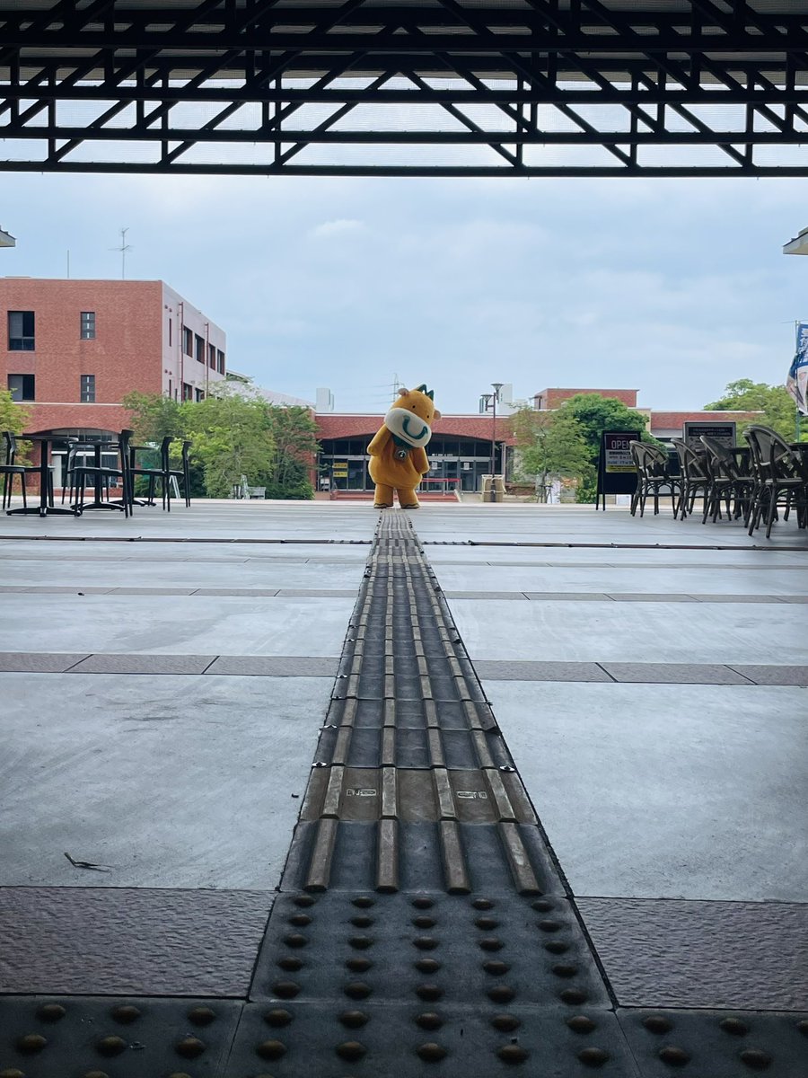 みやだいもうくん https://t.co/DU3CRt1oyH