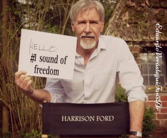Mittens08's tweet photo. @LFBanner @EVerastegui @HarrisonFordLA https://t.co/vUFDzINNCi