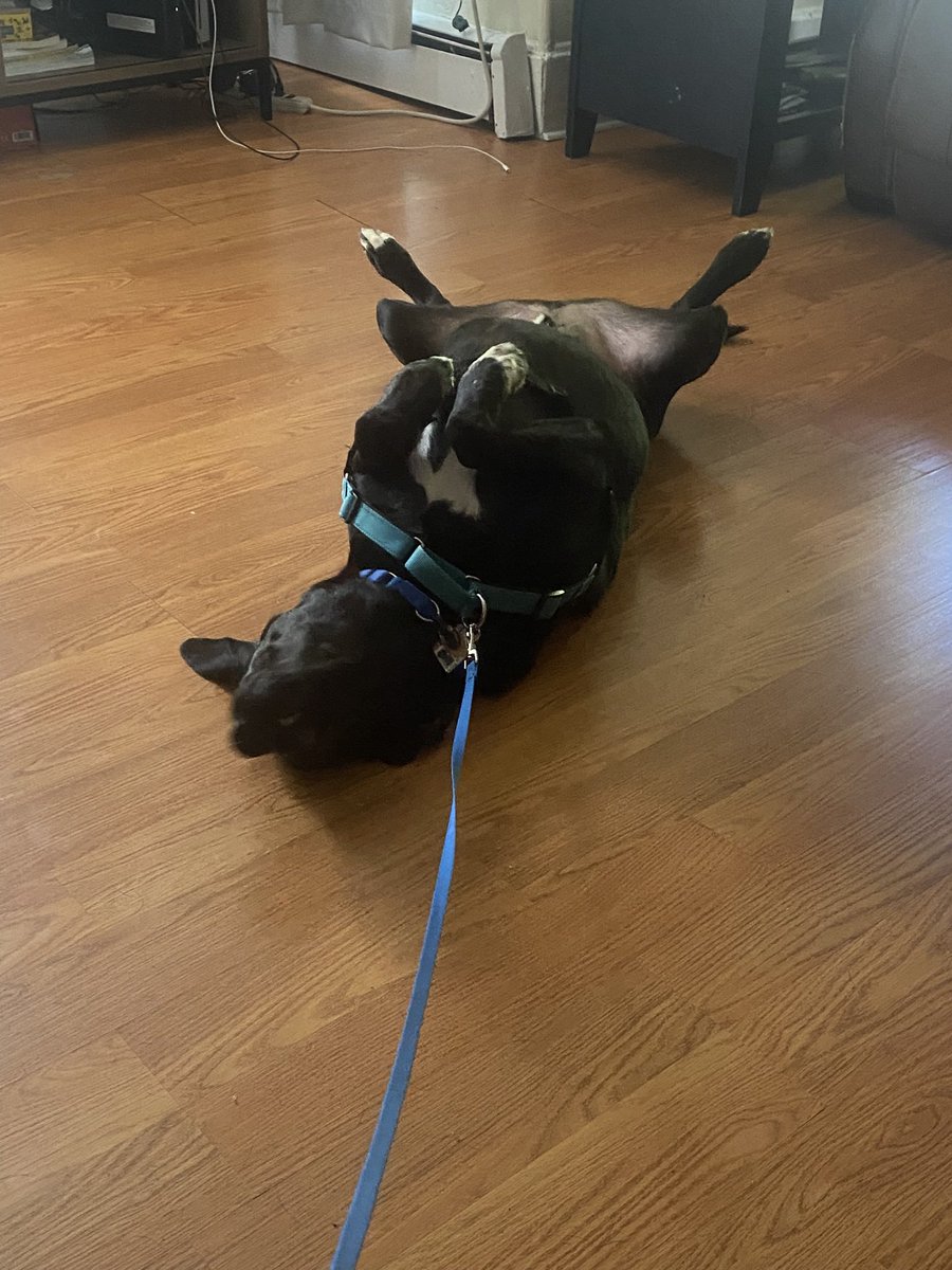 linavalenpenis's tweet photo. I think I broke my cousin 🤣😍 https://t.co/6nWF2bdWz7