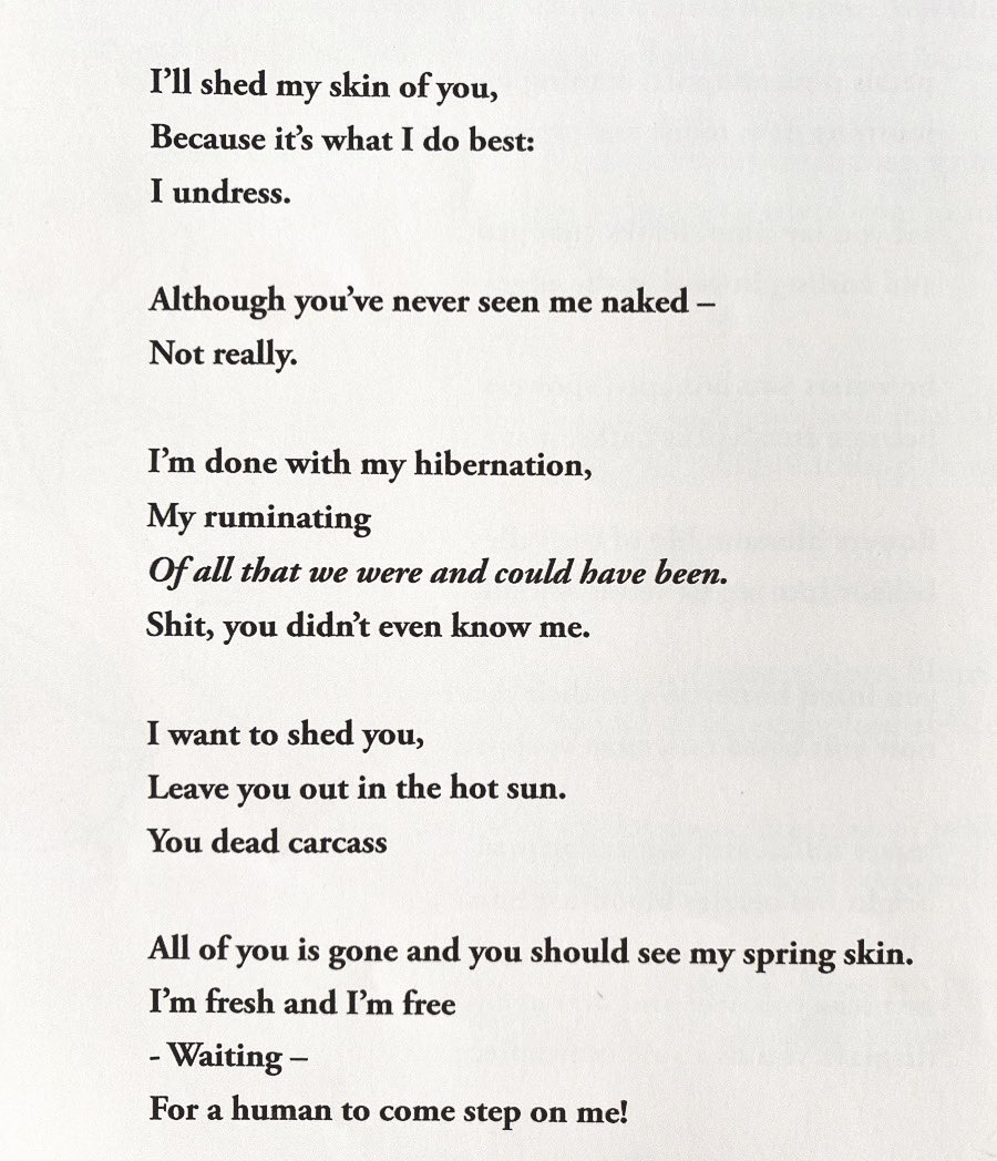 ‘Spring Skin’ for <a href="/MusingPublish/">Musing Publications</a>