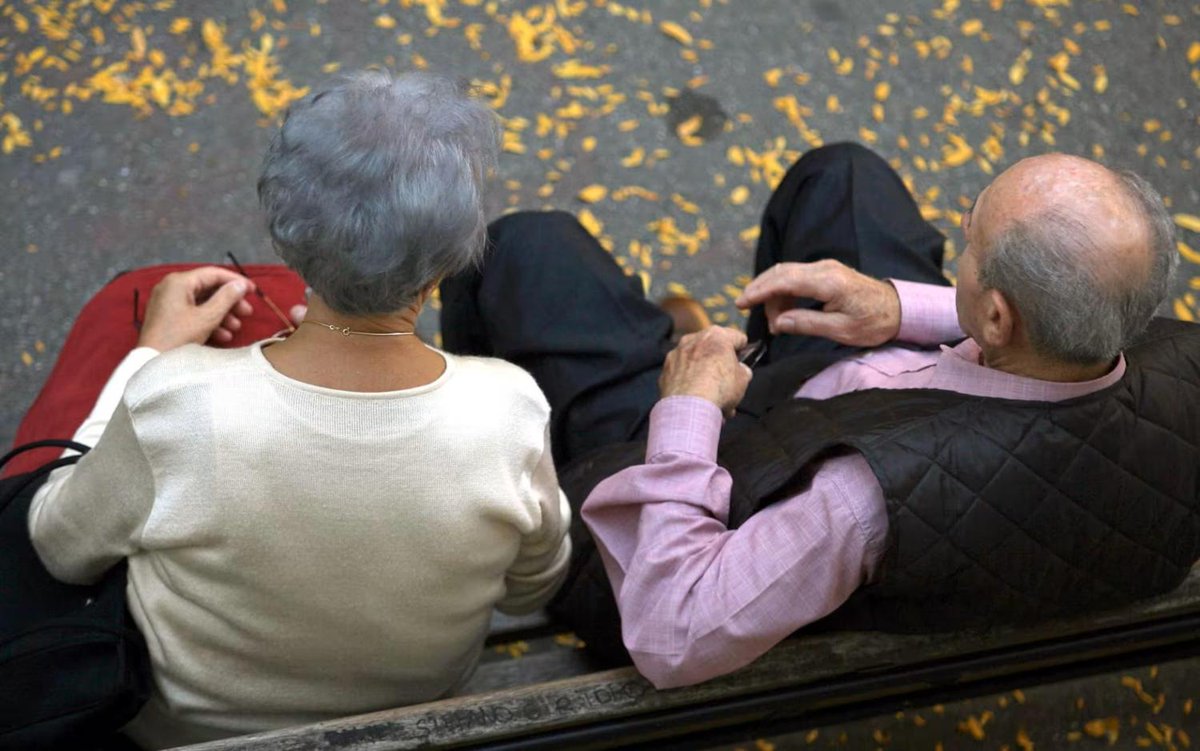 sole24ore's tweet image. 🔸 L’identikit del pensionato italiano: #redditi, #proprietà e #spese. Poche le #badanti dichiarate. ➡️ Ecco la fotografia scattata dalle ultime dichiarazioni dei redditi presentate nel 2022 da oltre 14 milioni di cittadini in #pensione.
ilsole24ore.com/art/l-identiki…