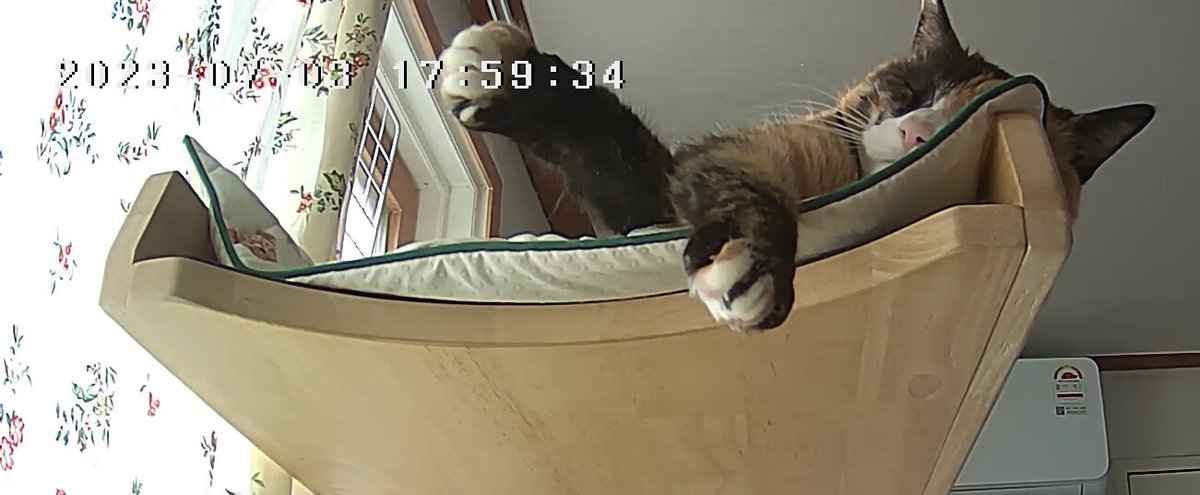 cookie190409's tweet image. 에어컨+쿨매트 조합 = 꿀잠