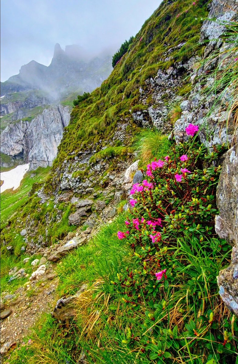 VCismasu's tweet photo. #romania                                   #bucegi                                      #ciubotea https://t.co/ODs04TPaDo