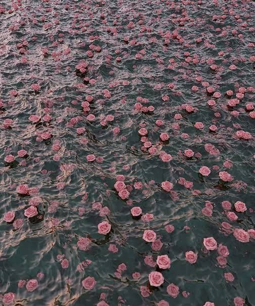 Ben seni kötüleyemem hiç.
Çiçekli bir yol vardı, yürüdüm derim.
Ayaklarıma dikenler battı ama her
ormanda olur böyle şeyler derim...