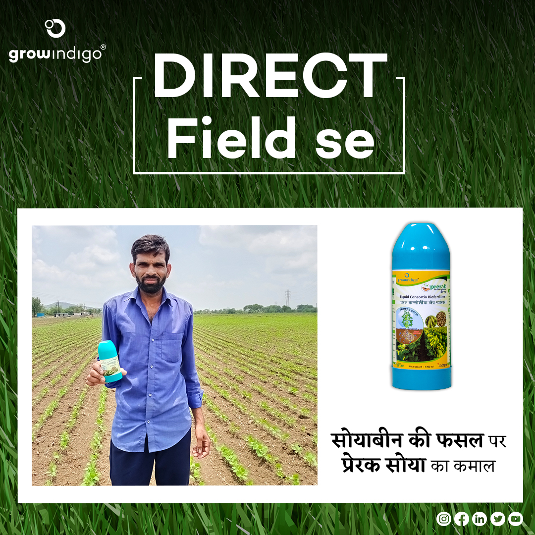 Grow Indigo tweet media