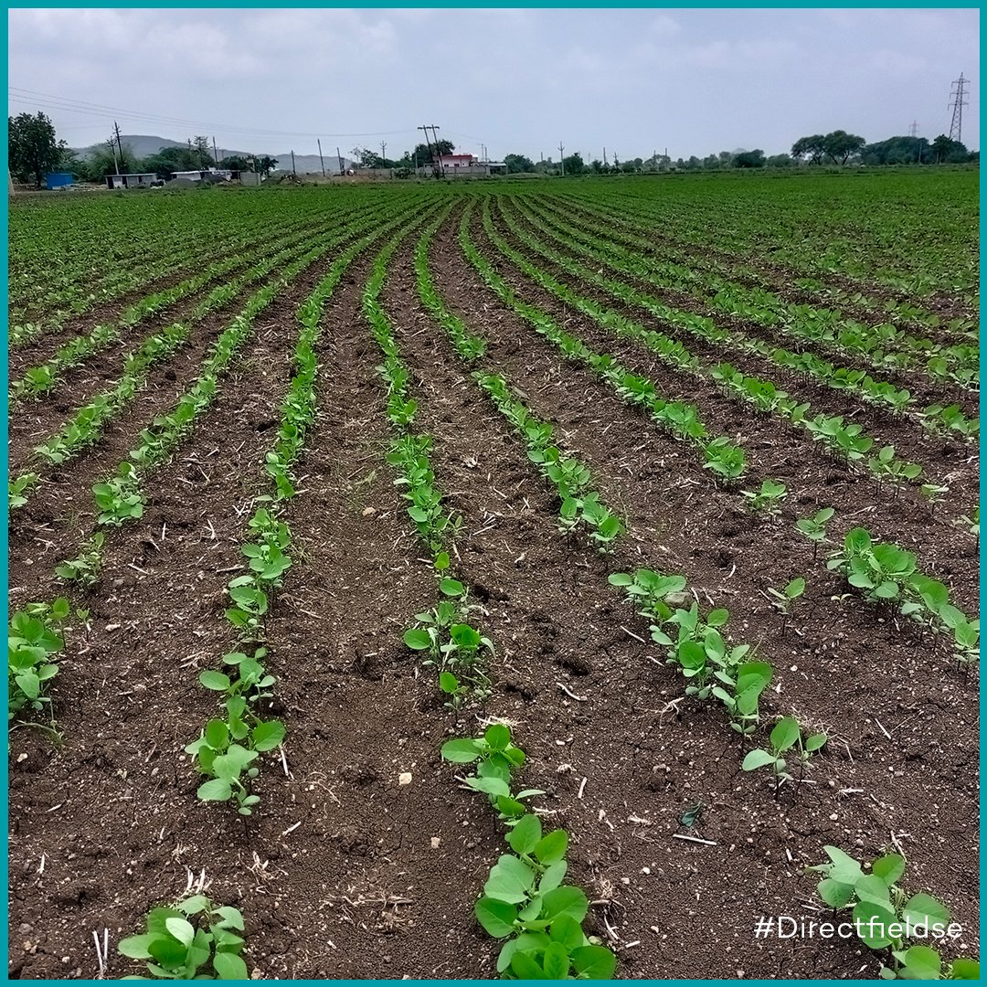 Grow Indigo tweet media