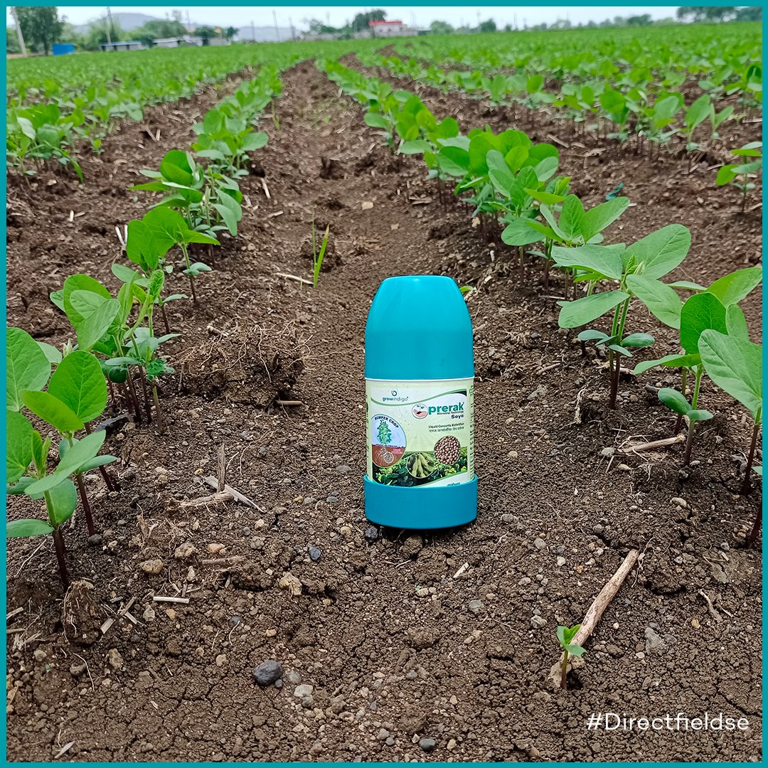 Grow Indigo tweet media