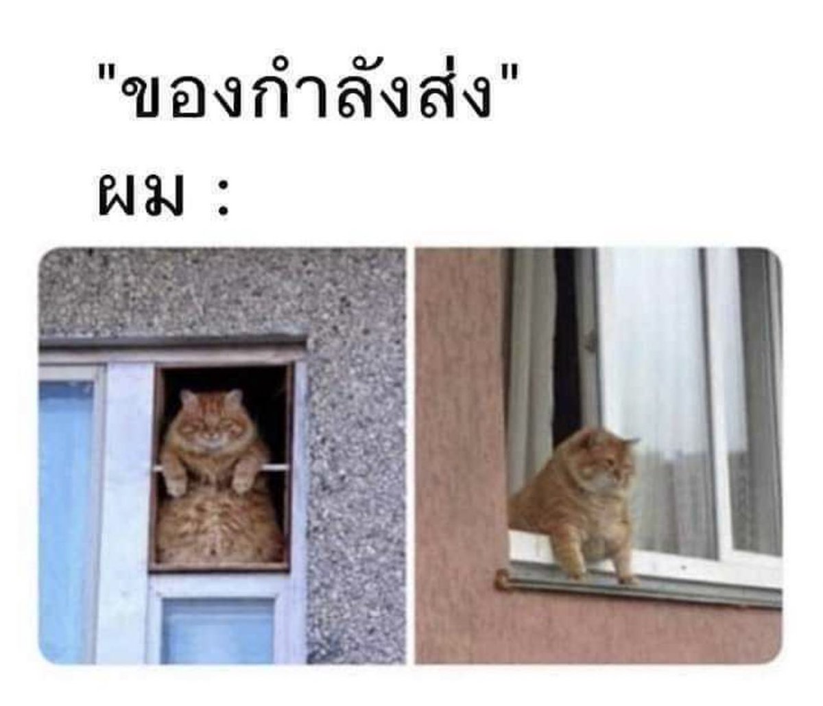psmark1821's tweet photo. เมื่อไหร่จะมาวะ รอนานแล้วนะ;-; https://t.co/WKfV2ff6PR