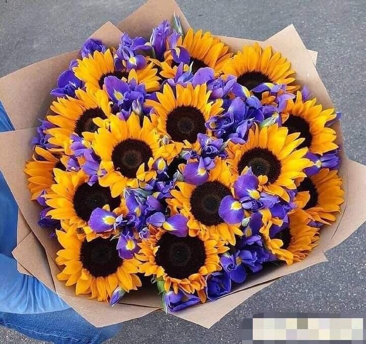 sunflowerchives's tweet photo. purple &amp; yellow combo melts https://t.co/JZVZzsX2VV