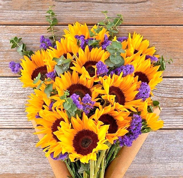 sunflowerchives's tweet photo. purple &amp; yellow combo melts https://t.co/JZVZzsX2VV
