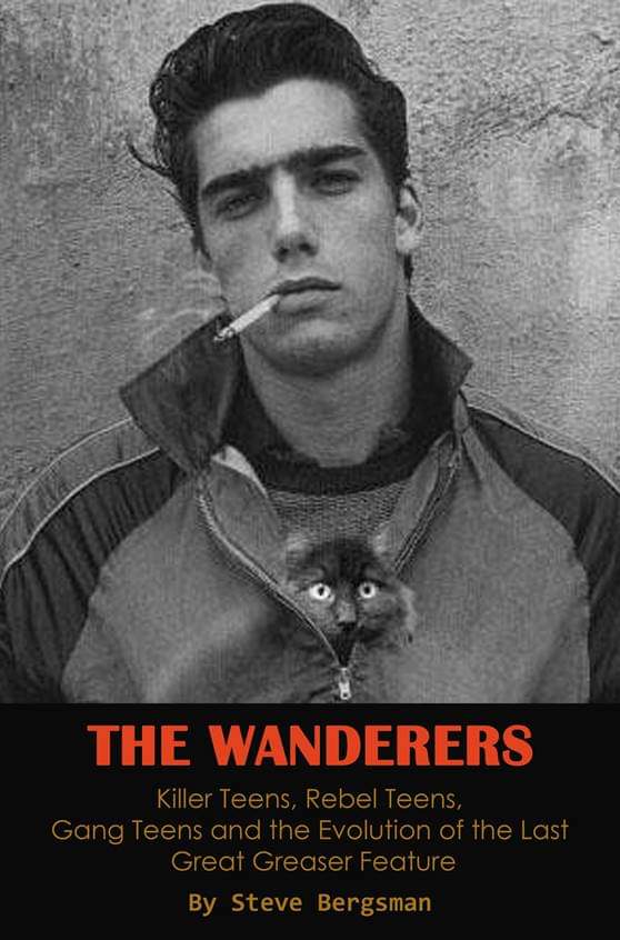 TWanderer79's tweet photo. "The Wanderers" is behind the scenes book of the movie.  It stars @KenWahl1 Written @sbergsman . Now available on Amazon. #thewanderers #kenwahl #wanderersforever @Barbi_Twins https://t.co/sw8yIZnBQU