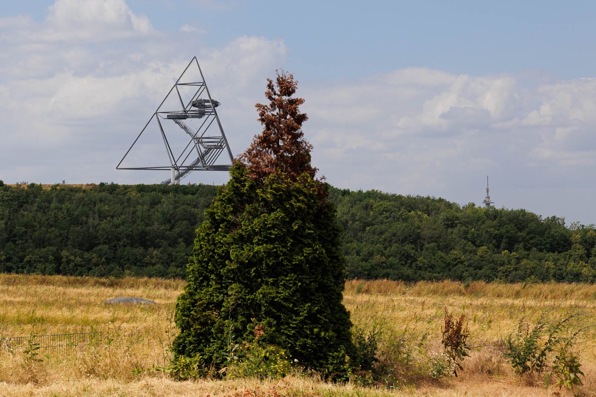 Ein neues Foto im WeeklyPic, heute das Tetraeder auf Halde Beckstraße #weeklypic #tetraeder #halde #ruhrgebiet #ruhrpott