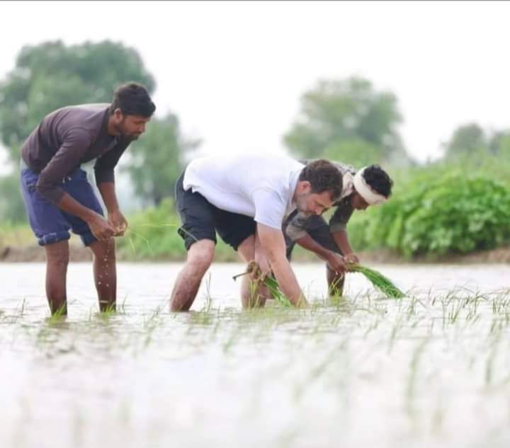 बबुआ GM होईअन कि CM होईअन कि PM होईअन हमरा लागता ई किसान होईअन 🤣🤣

#जय_जवान_____जय_किसान 🙏
