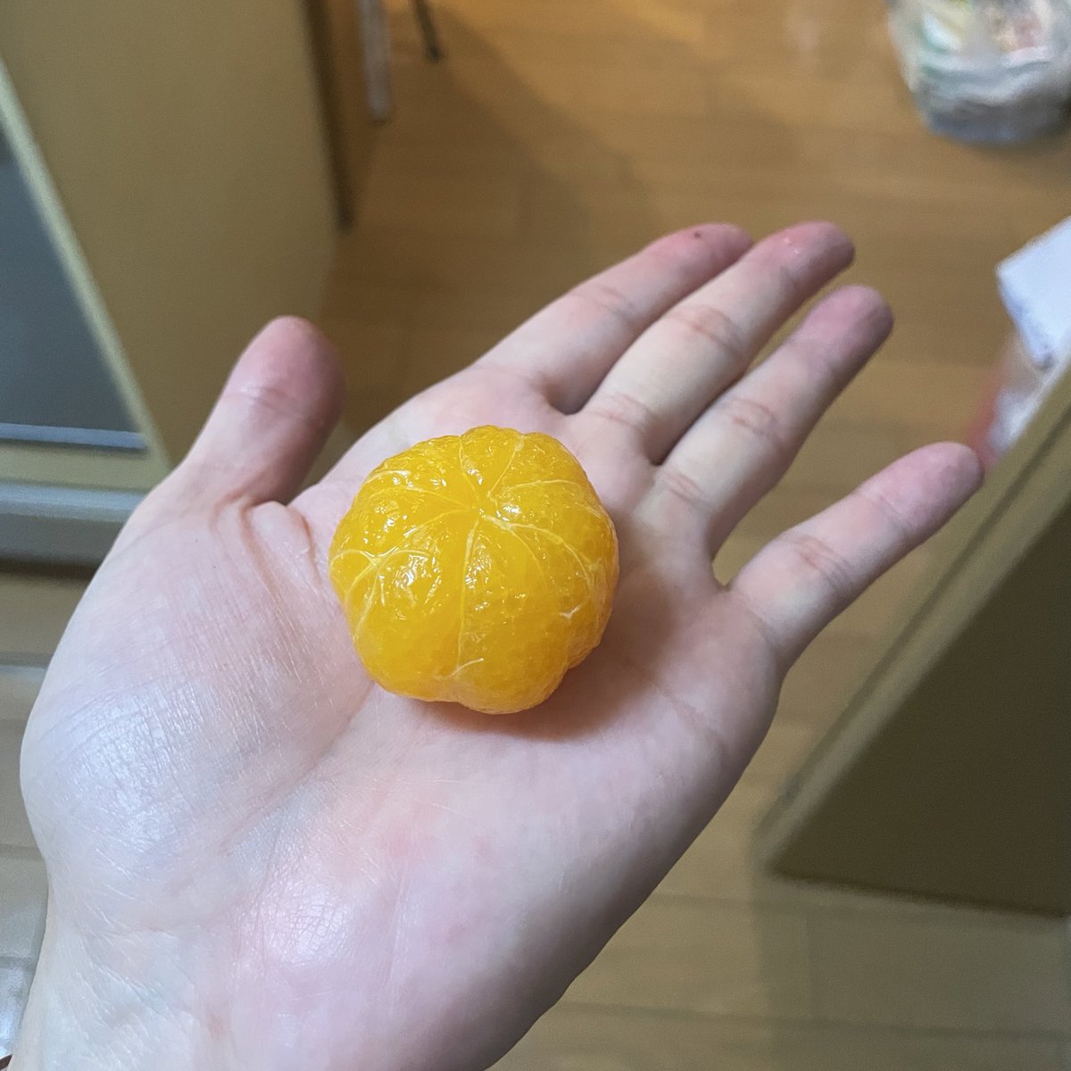 赤ちゃんみかんの缶詰かわいい https://t.co/wMYRHU7SzI