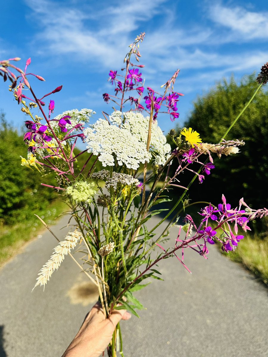 MoniqueKirsch's tweet photo. On my morning walk today 🌺💐😎🌸🌻 https://t.co/WV5gKaZYBi