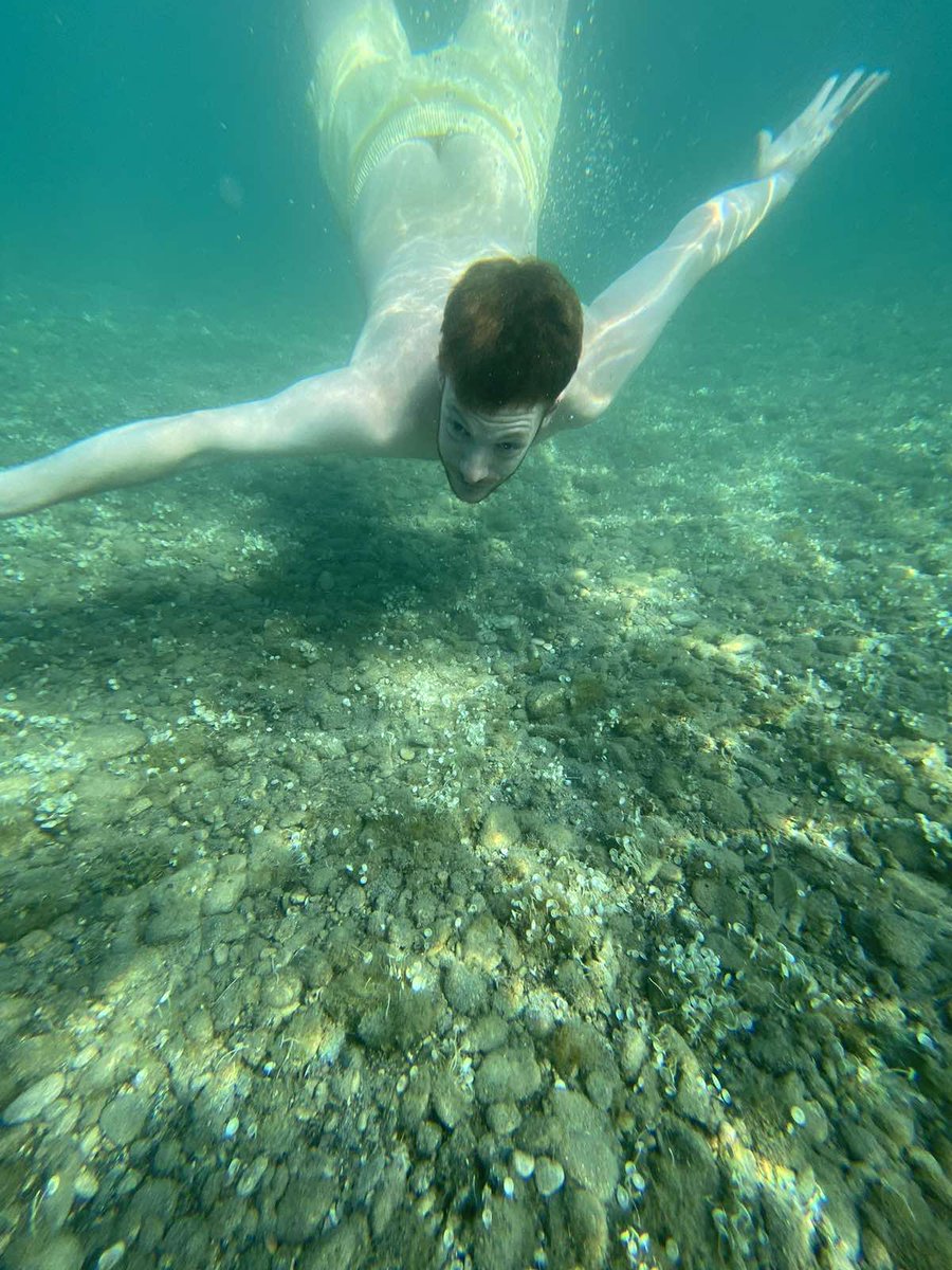 Πατρινό Καρναβάλι tweet media