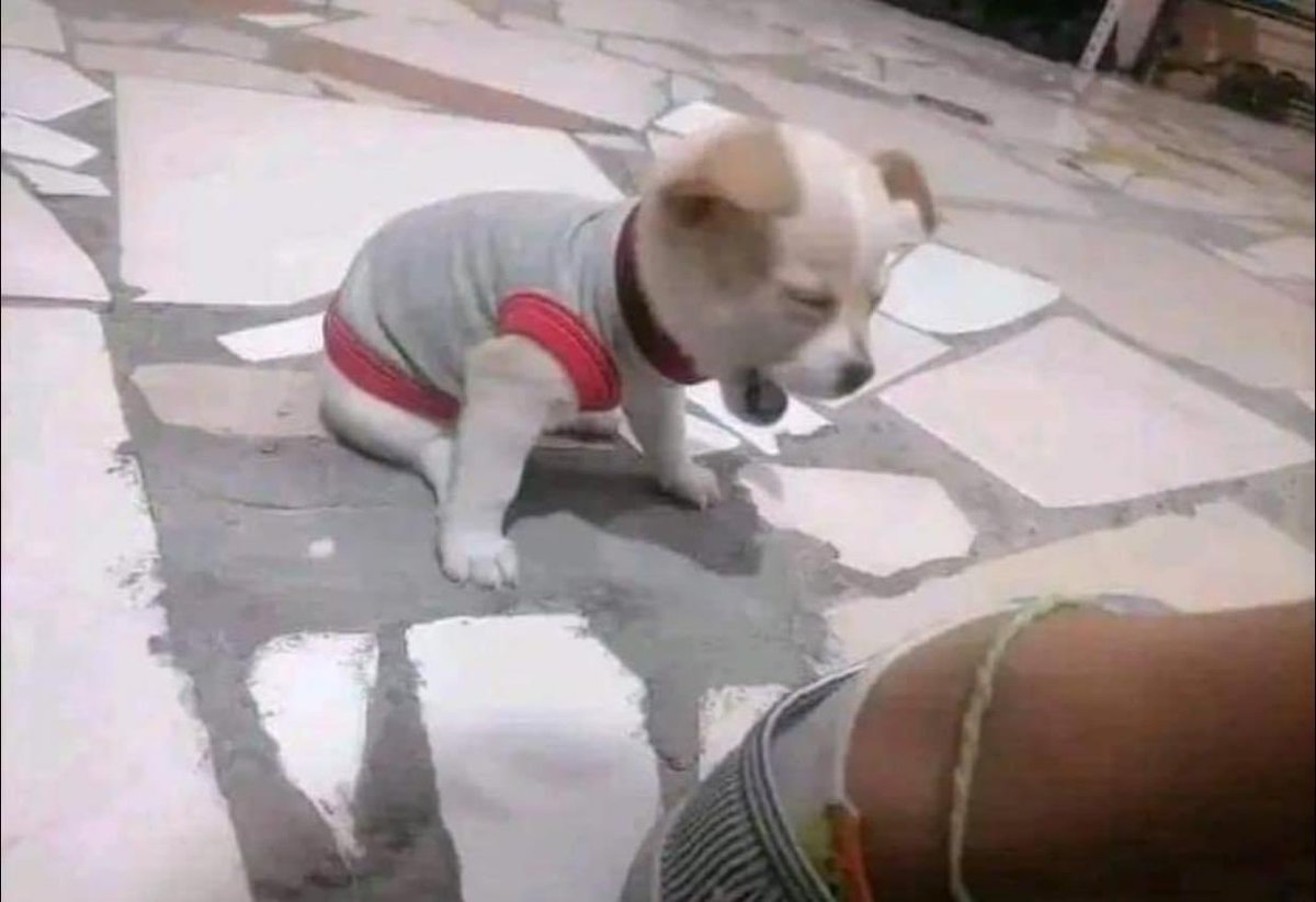 yo riéndome del chisque q yo mismo conté