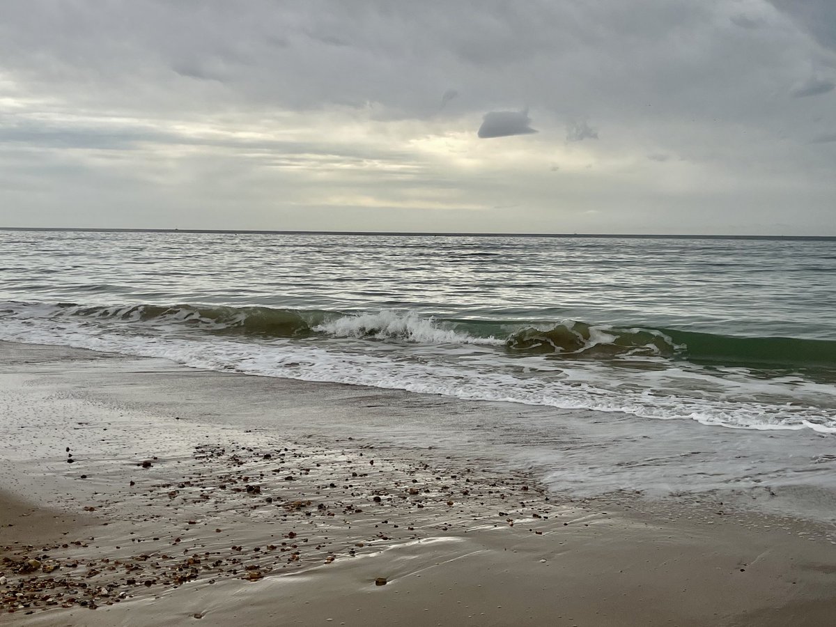 Cindy (Spence) Vallance (she/her) tweet media