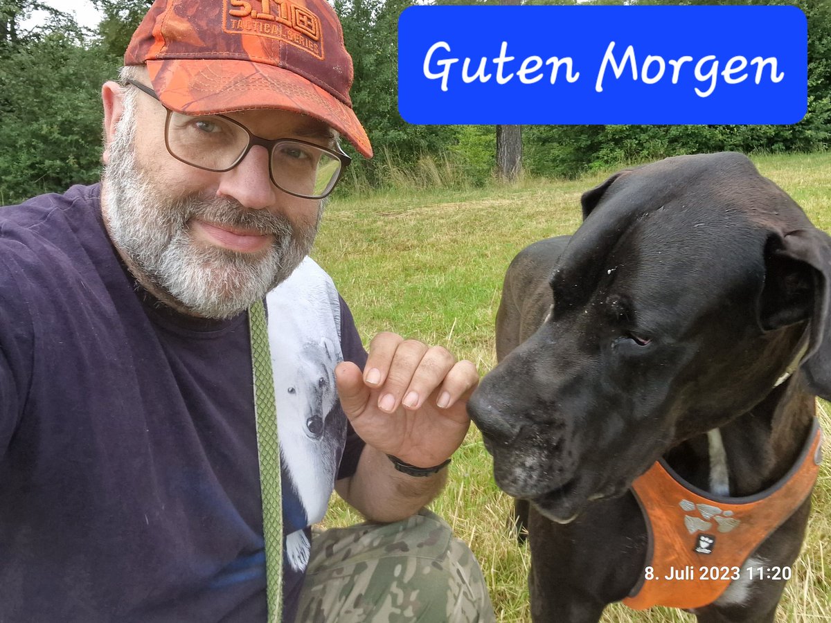 MatthiasH25's tweet photo. #Titus #Deutsche #Dogge #greatdanes #greatdanesofinstagram #greatdanecentral #greatdanesunleashed #matthias #lovedogs #dogsofinstaworld #dogstagram #greatdanesofinstagram #Abby #hiking #dogswhohike #deutschedogge #pause #break https://t.co/LpFDlCWKeA