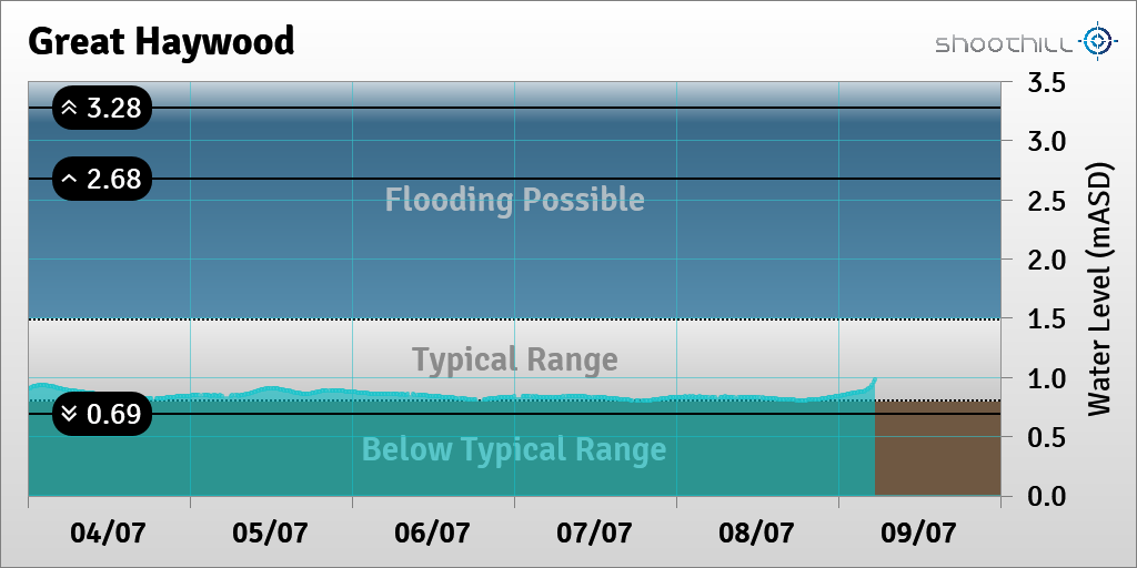 Great Haywood tweet media