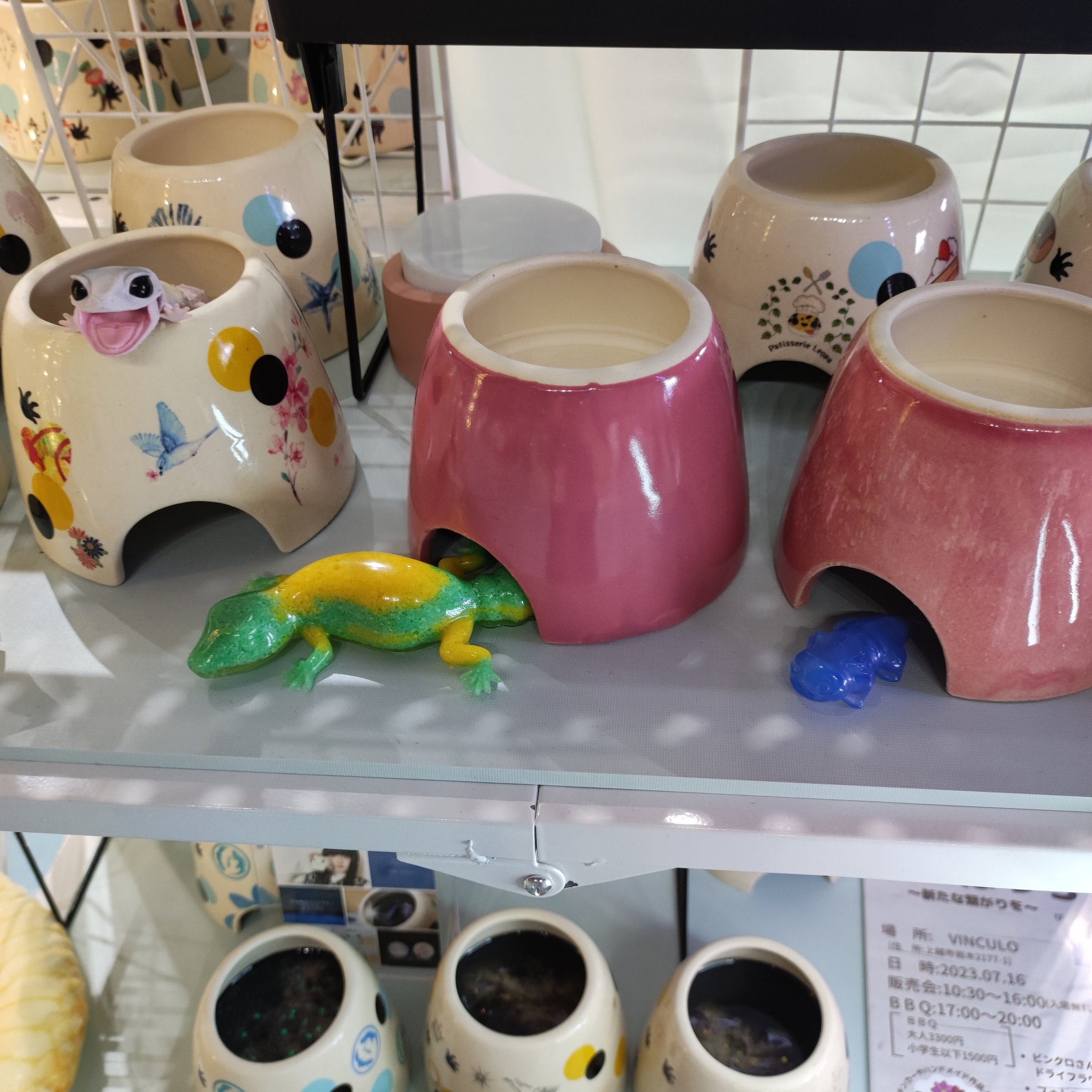 新作人気モデル 橋本 のーかチャンネル×ゆるれぷコラボ 爬虫類小動物用