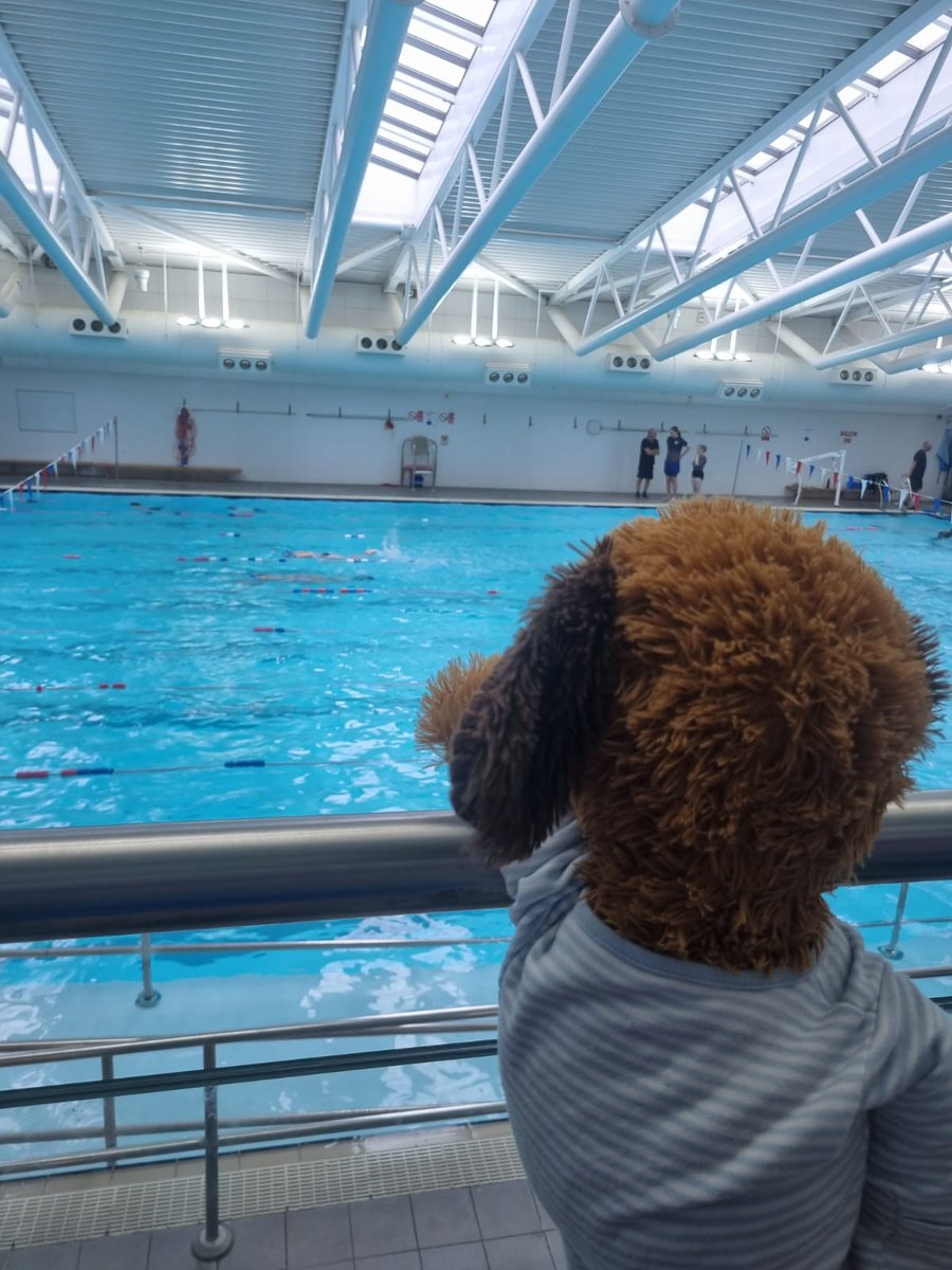 JennaLHewitt's tweet photo. @PCPSwans yesterday Fudge enjoyed going out for his dinner and then watched Myles at his swimming lesson 🏊‍♂️ https://t.co/B7oU4eqkOz