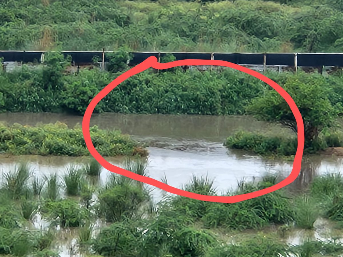 DEEPAKKAHUJA's tweet photo. #Gurgaon बादशाहपुर ड्रेन की दीवार टूटी। गांव गाडौली और सेक्टर 37डी में भरने लगा पानी। यहां हो सकती हैं जलभराव से भारी दिक्कत।
#Badshahpur_Drain #Monsoon
@DC_Gurugram @MunCorpGurugram @OfficialGMDA https://t.co/hQXPNqZDCr