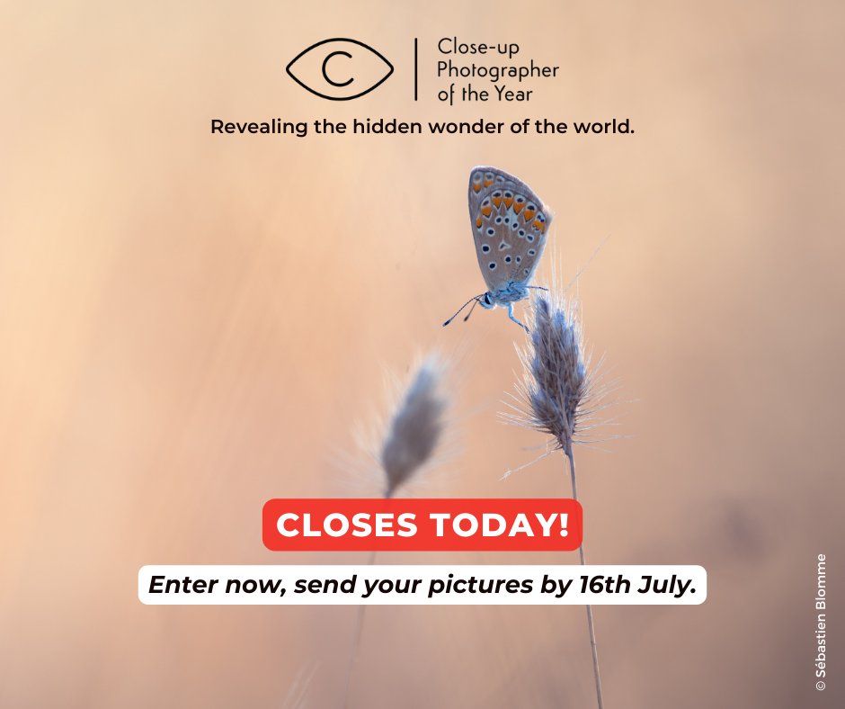 FINAL CALL! Enter before today's deadline and get another week to submit your pictures. Take 2 minutes to register at cupoty.com before midnight (BST) on Sunday 9th July and submit your pictures by 16th July. #macrophotography #NaturePhotography